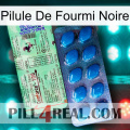 Black Ant Pill new02